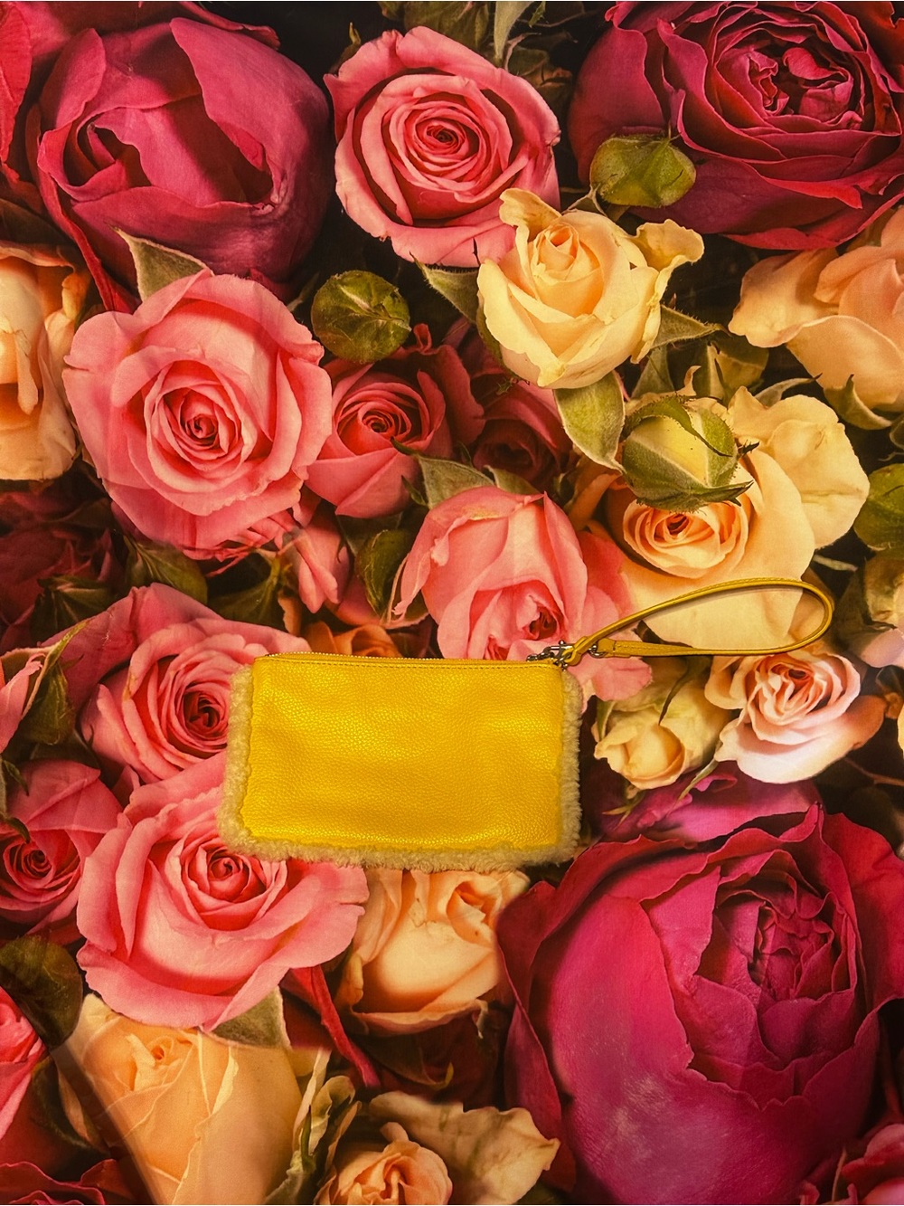 Coach Pebbled Leather Wristlet in Yellow and Shearling trim - Picture 5 of 10
